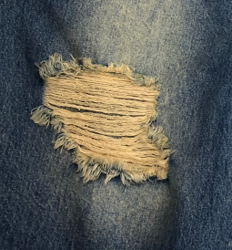 Denim shorts distressed wash detail